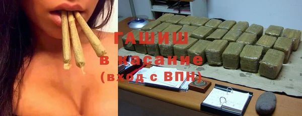 стаф Медногорск