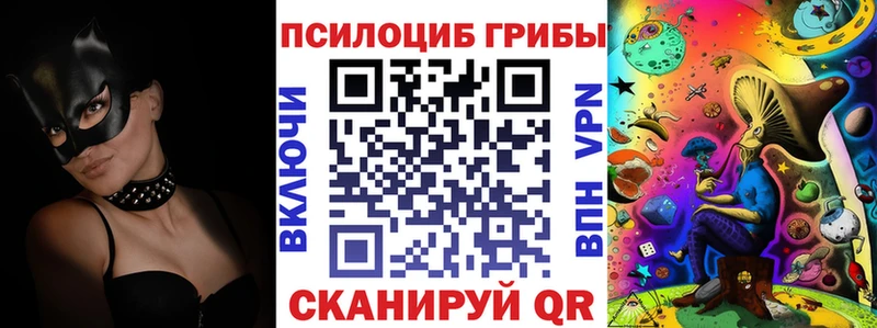 Галлюциногенные грибы Psilocybe Менделеевск